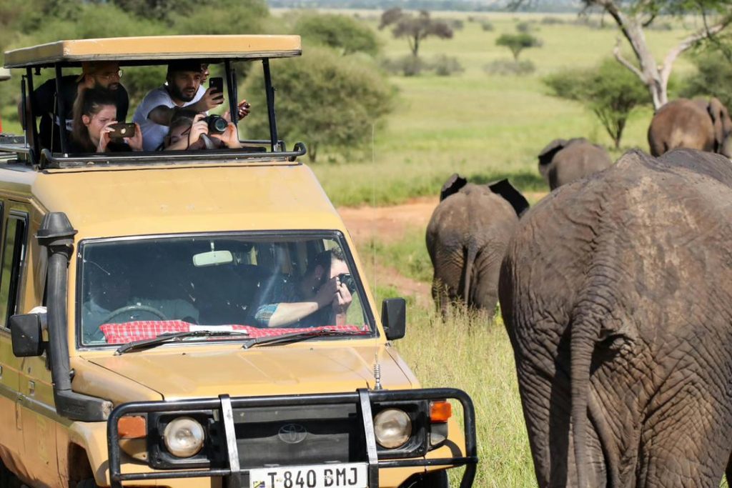 Tanzania Safari Experience