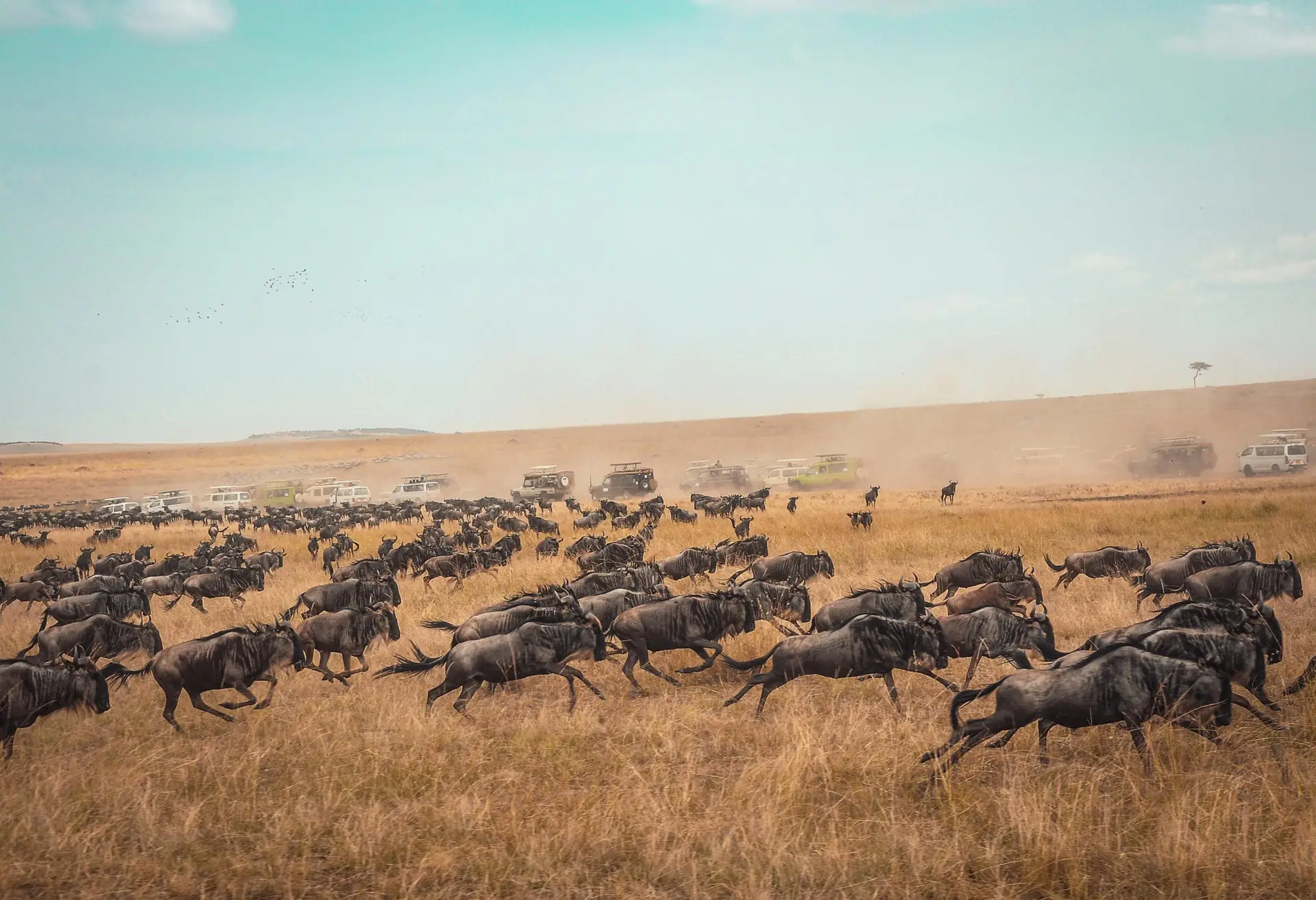 WhatsApp Image 2025-10-22 at 2.48.46 PM