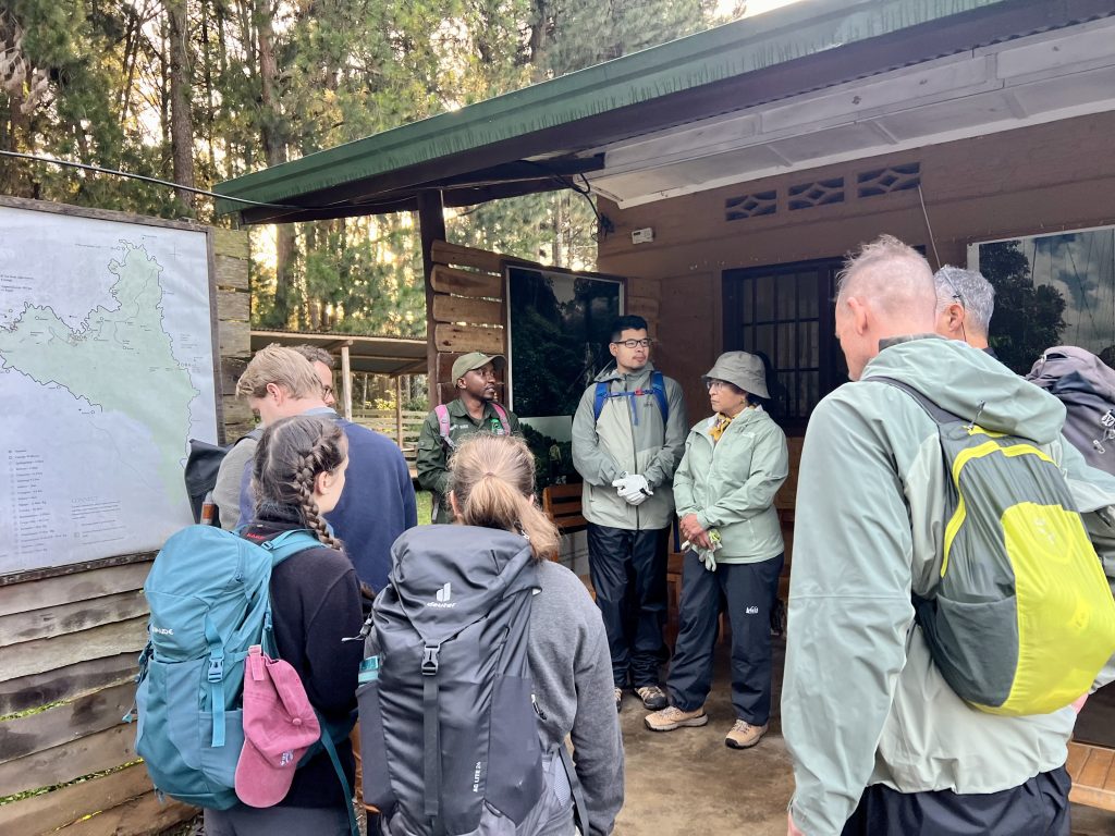 Rwanda Safari Experience: Gorillas, Conservation & Premium Travel