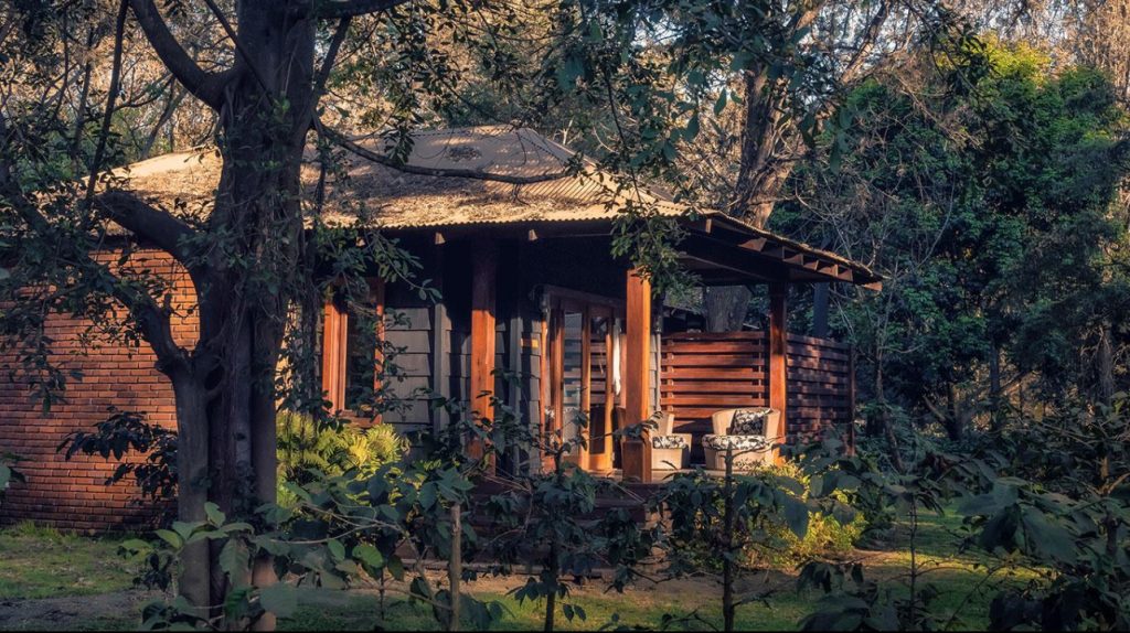 Luxury 7-Day Tanzania Safari  at Arusha Coffee Hotel