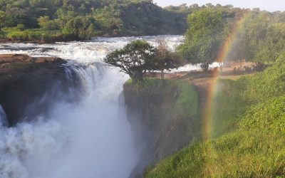 5 Days Murchison Falls & Big Five Wildlife Safari​